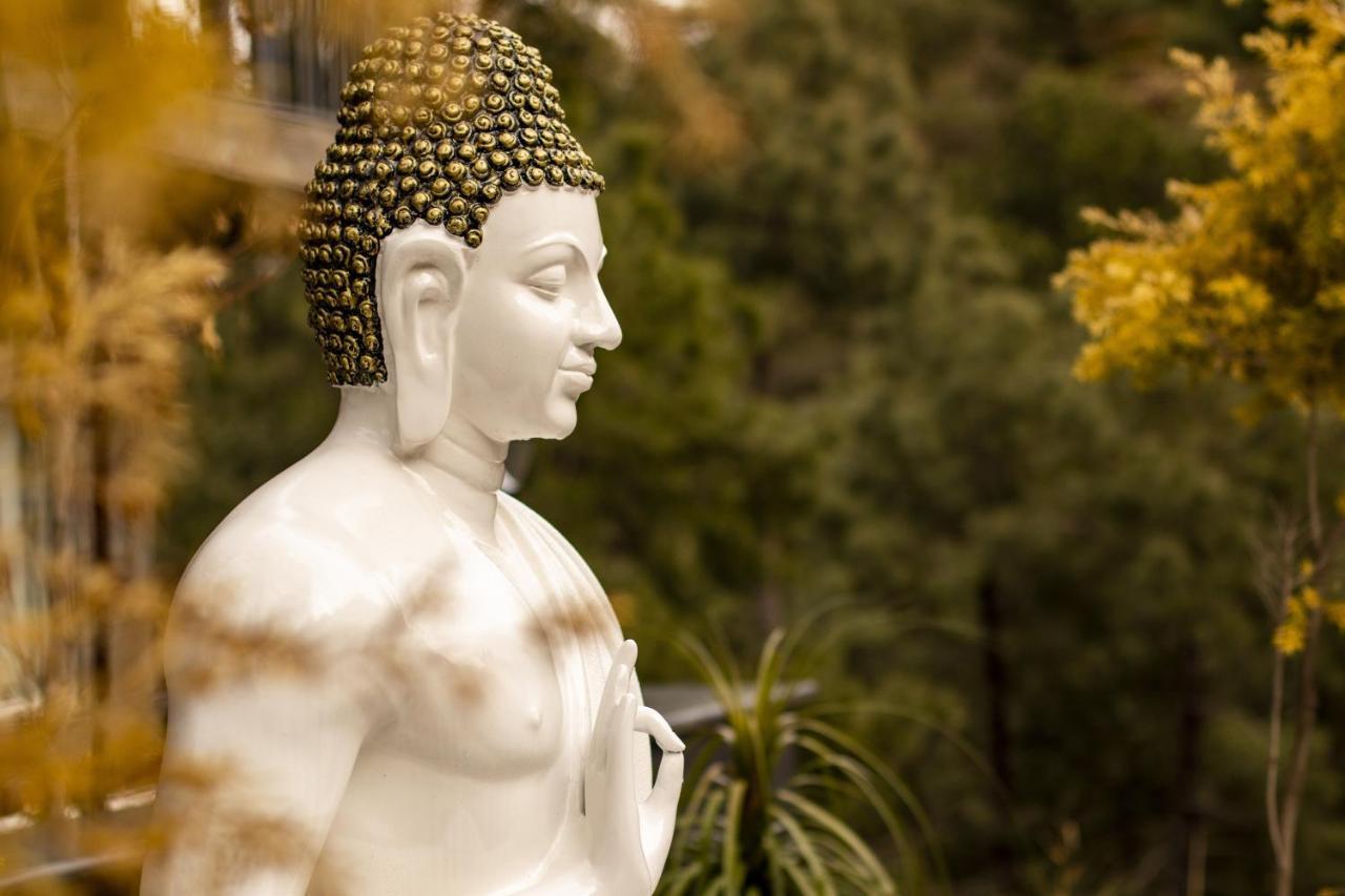 Golden Fern Resort Shimla Zewnętrze zdjęcie
